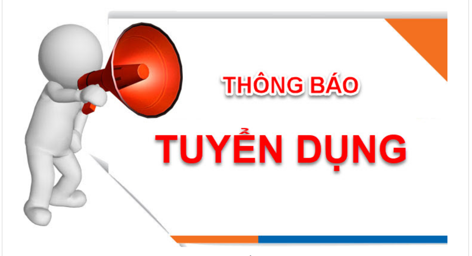 lĩnh vực hoạt động